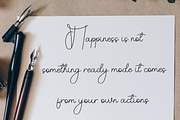 Beautiful, a Sans Serif Font by FreshTypeINK (Thumbnail 2 of 8)