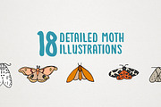 Moths of the World Illustration, an Illustration by Lemonade Pixel (Thumbnail 2 of 7)