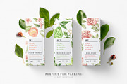 Organic LAB. Watercolor kit, a Decorative Illustration by Kate Macate (Thumbnail 7 of 9)