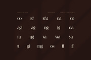 Creatoon Modern Serif Font, a Serif Font by Perfectype (Thumbnail 8 of 8)
