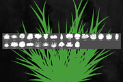 Bushes Grass Photoshop Stamp Brushes, a Brush Add-On by ArtistMef (Thumbnail 2 of 4)