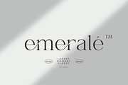 Shanell - Modern & Luxury Serif Font, a Serif Font by Typebae (Thumbnail 8 of 12)
