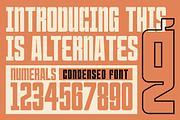 Mugend - Sans Condensed Font, a Sans Serif Font by tebaltipislab (Thumbnail 2 of 13)