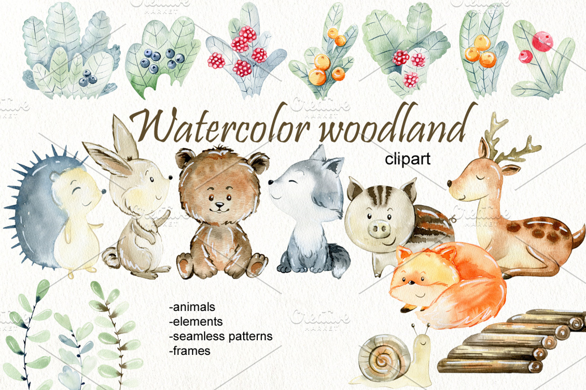70% off. Bundle. Woodland animals., an Animal Illustration by TaPilipa (Photo 31 of 38)