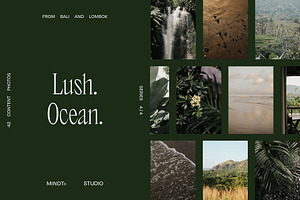 Natural Lifestyle Photo Bundle Bali, a Nature Photo by Mindt Design Studio