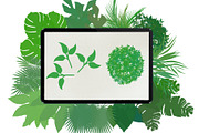 Palm leaves brushes for Procreate, a Brush Add-On by AnastasiyaOleynik (Thumbnail 12 of 12)