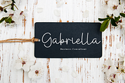 Samanta Signatur | Script Font, a Handwritten Font by Scratchones (Thumbnail 3 of 8)