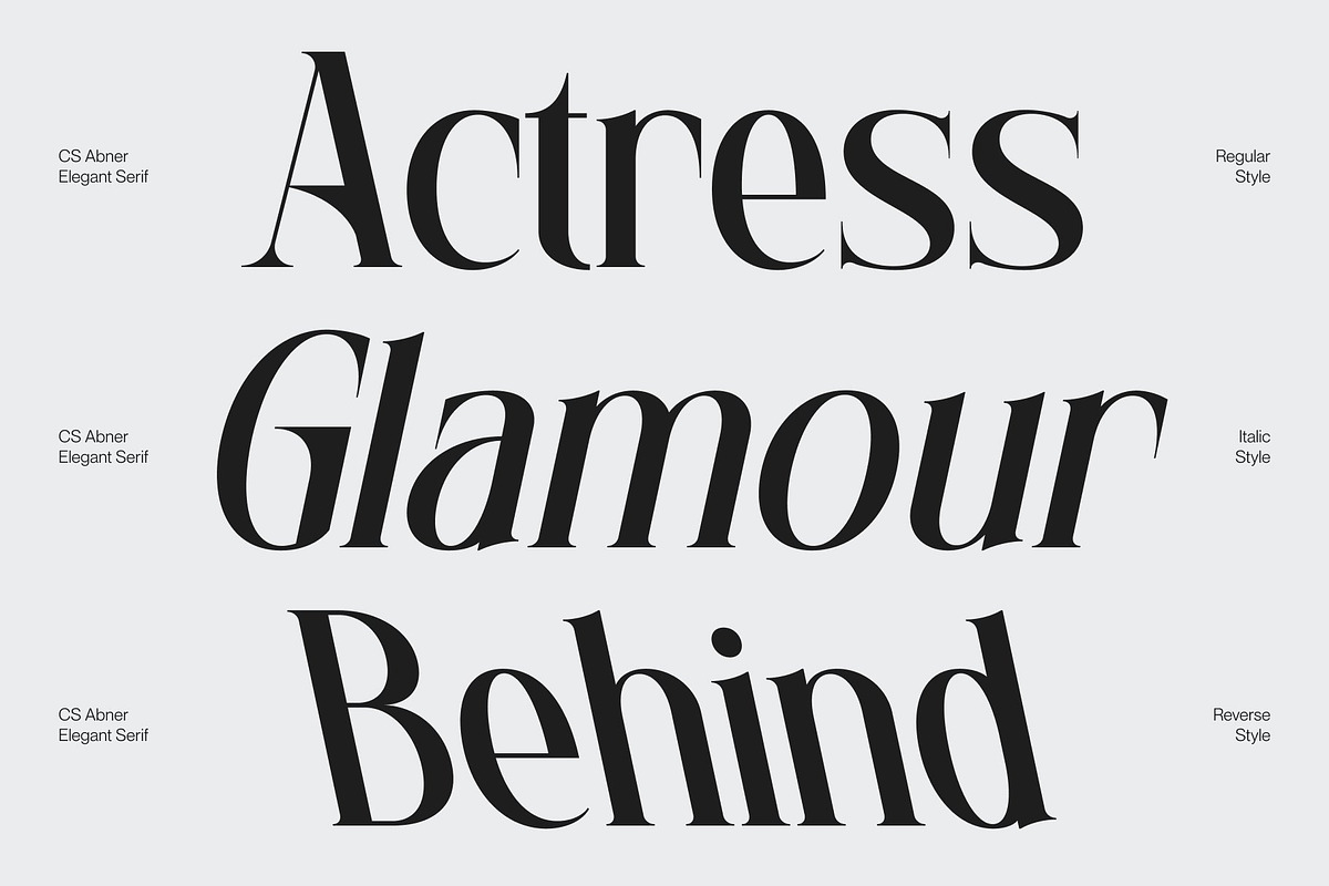 CS Abner – Elegant Serif Font, a Serif Font by Craft Supply Co. (Photo 3 of 8)