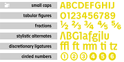 Petermann, a Sans Serif Font by ingoFonts (Thumbnail 9 of 10)