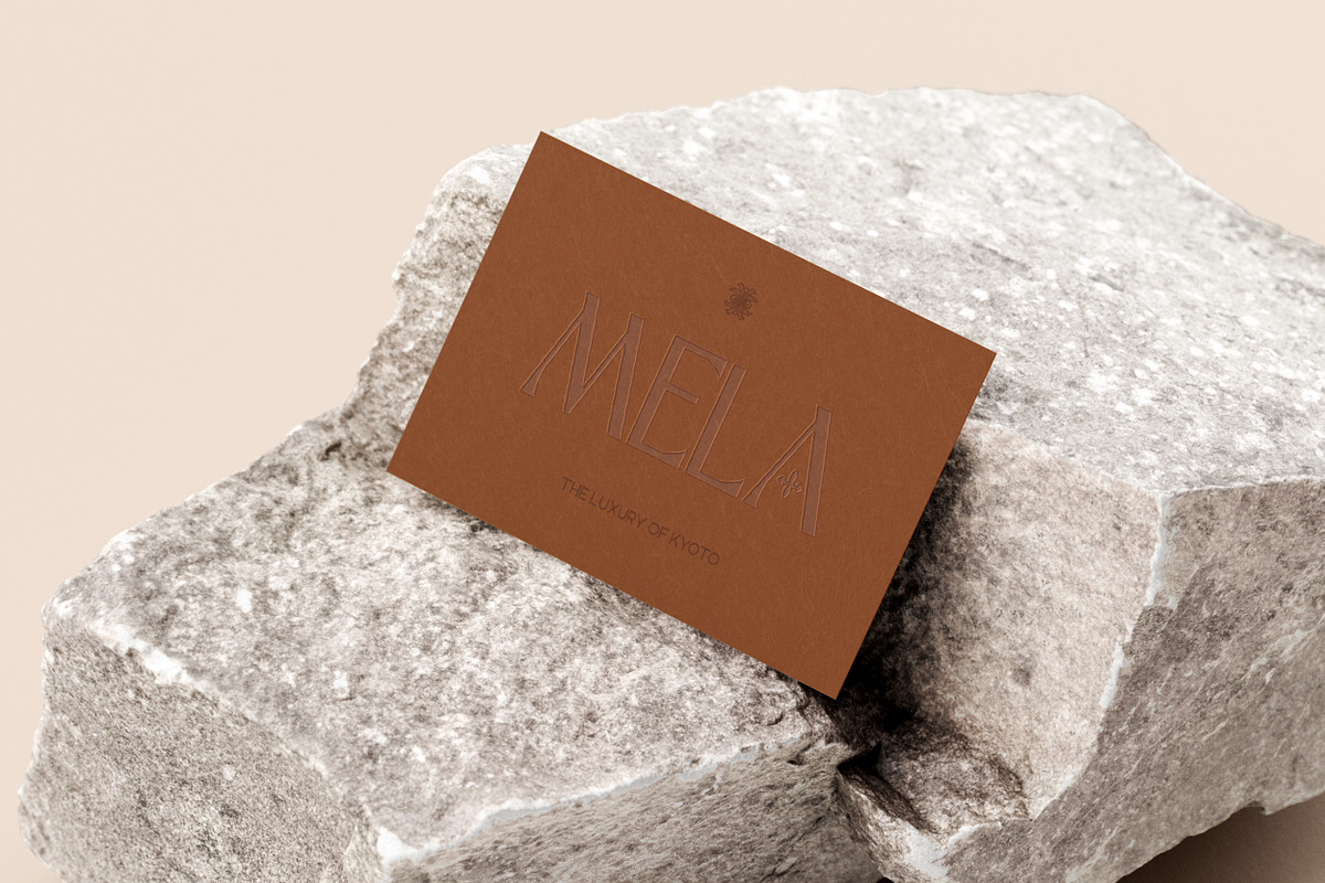 Carmana Sans Display Font, a Sans Serif Font by Hishand Studio (Photo 3 of 10)