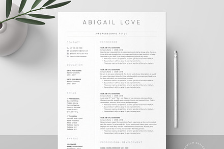 Clean Resume Pack | Word, Pages, a Resume Template by DemeDesign