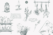apothecary clipart vintage collectio, a Decorative Illustration by Patishop Art (Thumbnail 7 of 10)