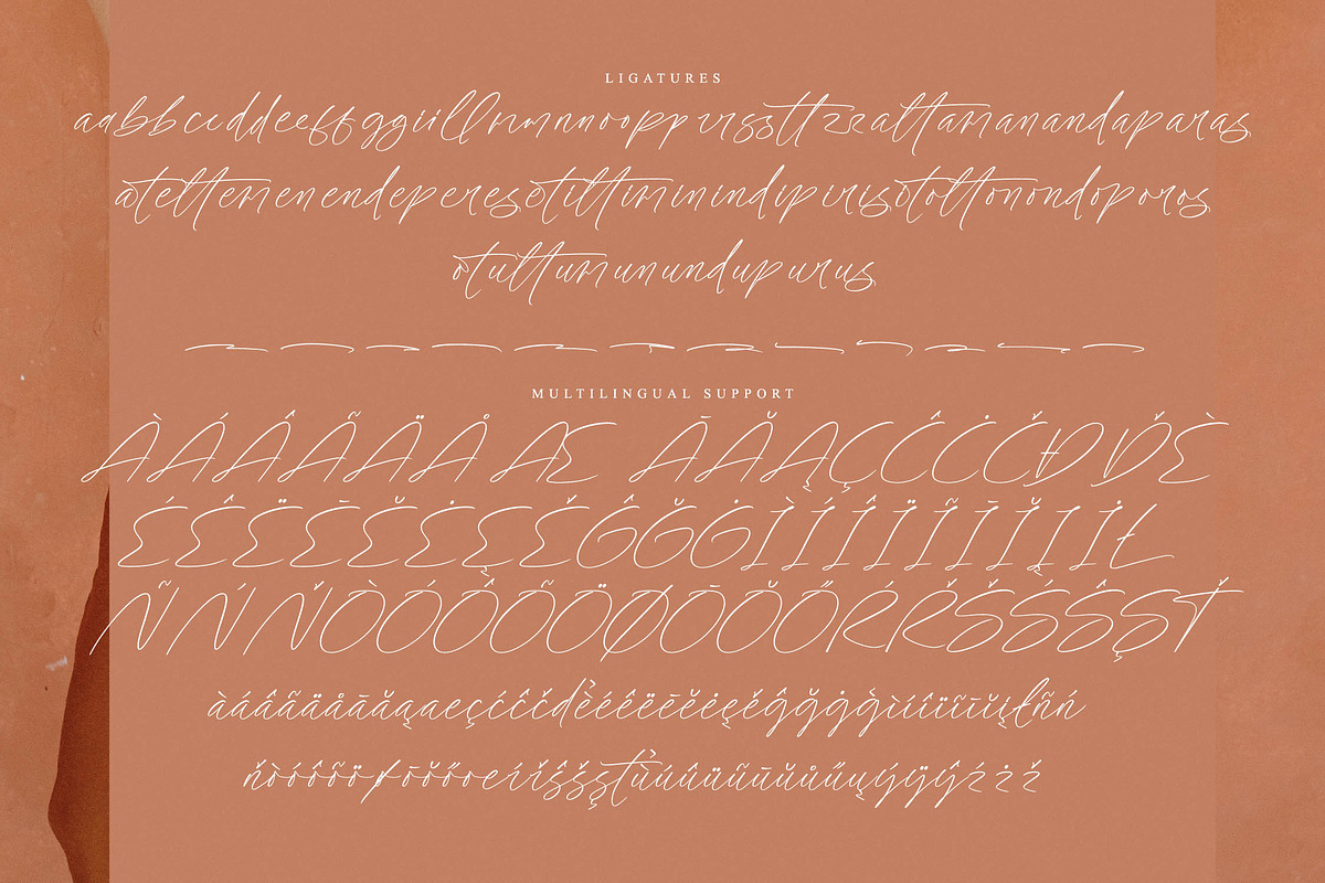 Artfully Stylish, a Script Font by operatype.co (Photo 14 of 15)