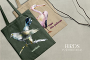 Birds watercolor illustrations, an Animal Illustration by Vero Arts (Thumbnail 10 of 11)