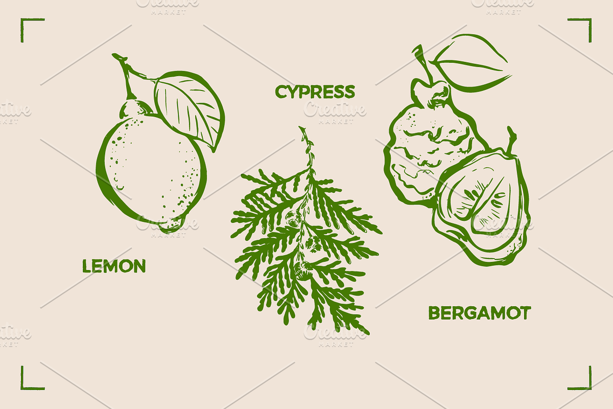 AROMATHERAPY (26 illustrations), a Healthcare Illustration by Bonfloret Studio (Photo 7 of 11)
