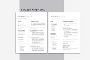 Professional CV Template