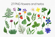 Green forest and mountain bundle PNG, an Illustration by Anntre (Thumbnail 6 of 8)