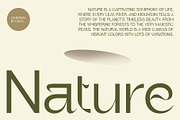 CS Bonita – Art Nouveau Font, a Sans Serif Font by Craft Supply Co. (Thumbnail 3 of 8)