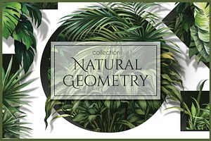 Natural Geometry