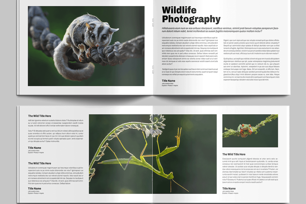 Wildlife Photography Magazine, a Magazine Template by MightyDesign (Photo 5 of 9)