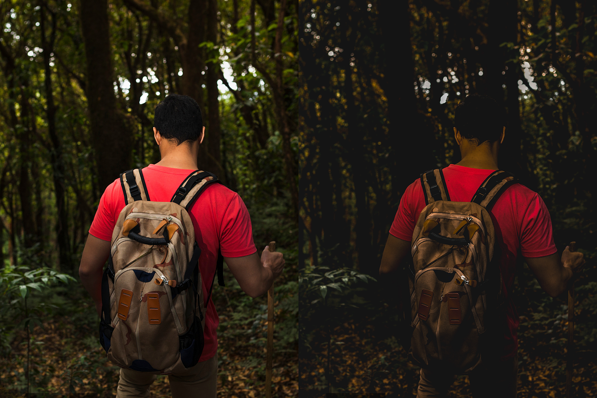 08 Into The Wild Lightroom Presets, a Preset Add-On by RamsaGraphi (Photo 5 of 10)