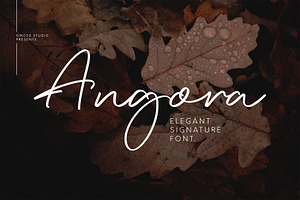 Angora