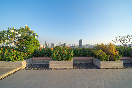Sky garden on private rooftop of condominium or hotel, high rise, a Background Photo by Tampatra