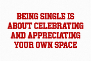 Single - Condensed Slab Serif, a Slab Serif Font by Pian45 Studio (Thumbnail 2 of 8)