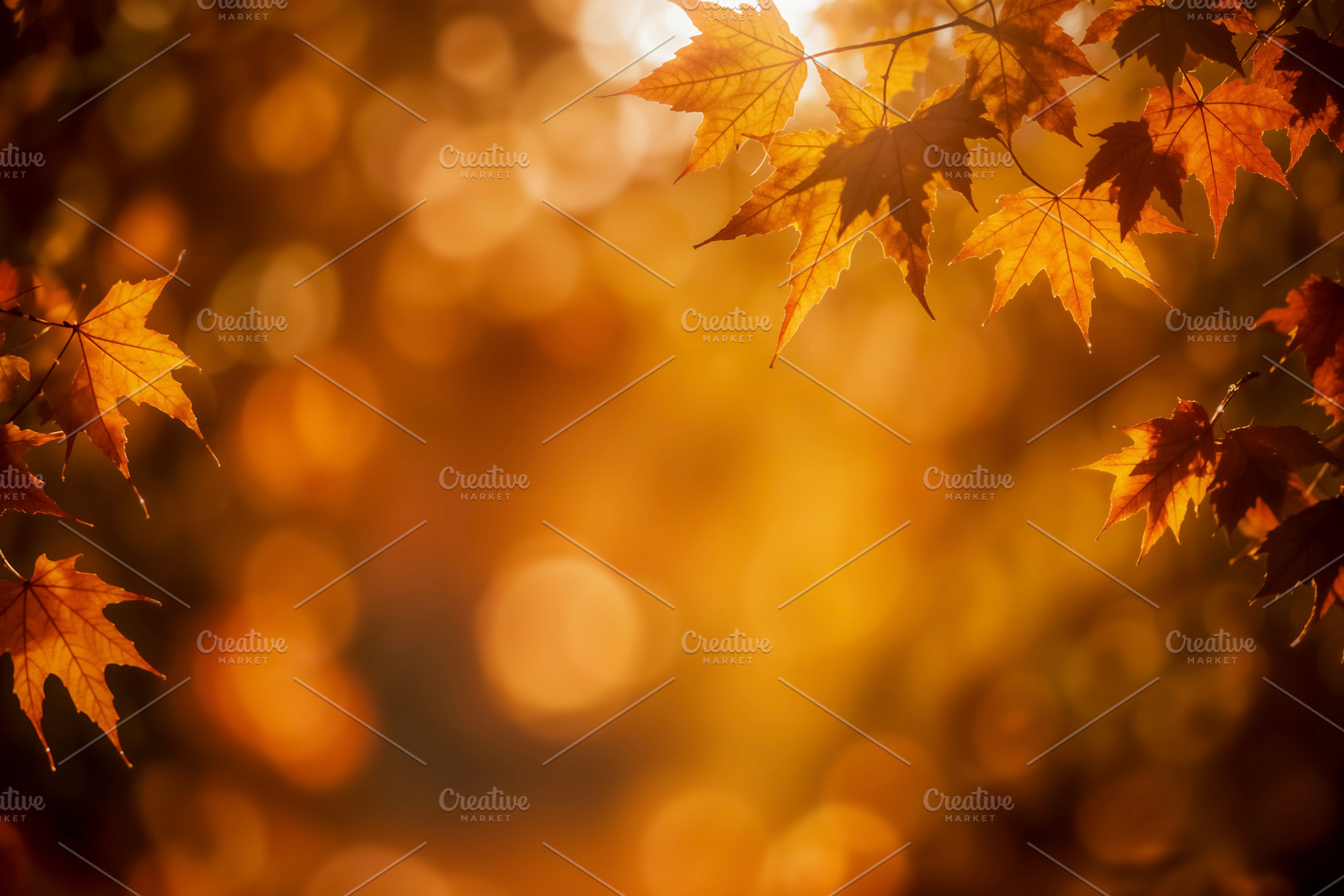 Sunlit autumn leaves, a Photo by rarrarorro
