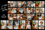 Birthday Party Graphics & Photos, an Object Illustration by ApollinariaManko (Thumbnail 3 of 14)