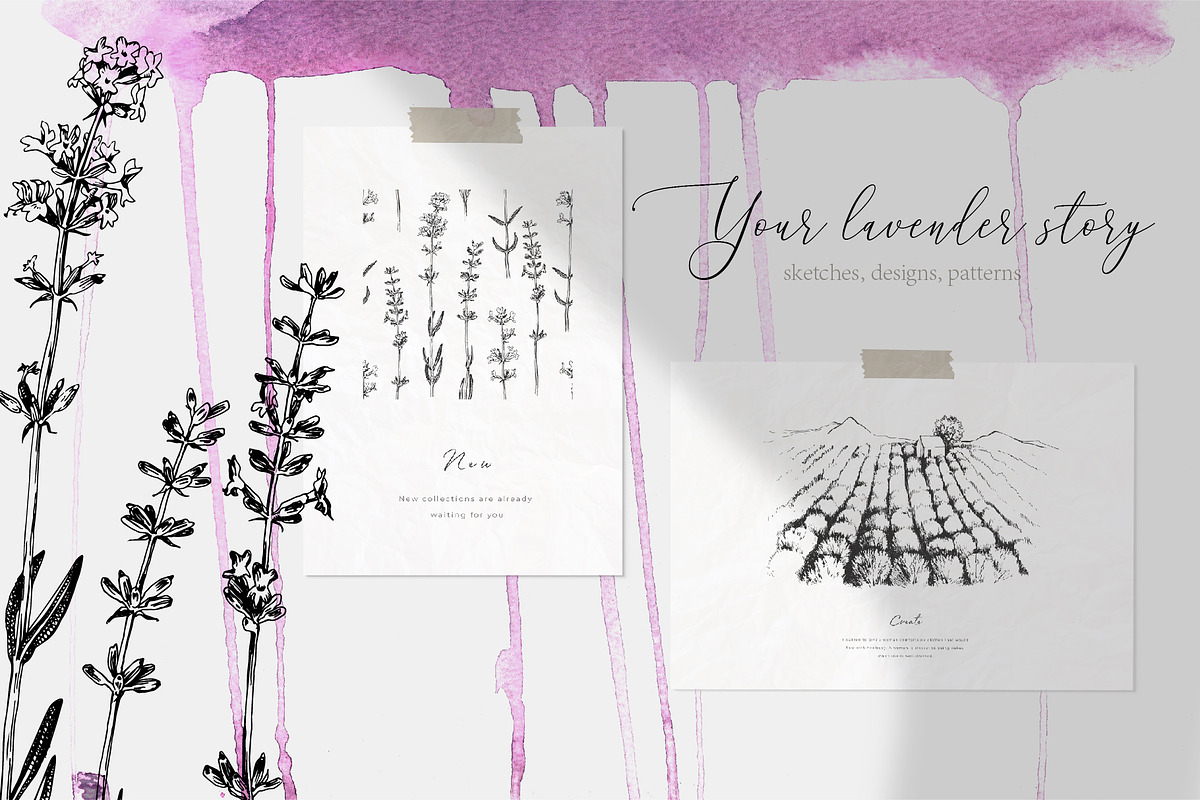 Hand drawn botanical bundle, an Illustration by handsketched (Photo 2 of 24)