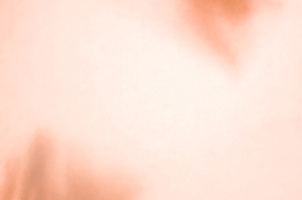 The effect of overlay for the photo stock photo containing palm and tree, a Nature Photo by EugeniaArt