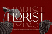 Olario - Sans Serif Font, a Sans Serif Font by Alpaprana (Thumbnail 3 of 11)