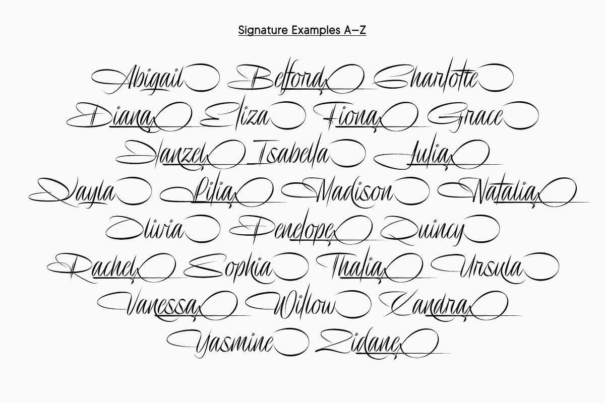 Delion | Signature Font, a Script Font by Lemonthe (Photo 6 of 10)