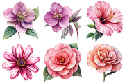 Watercolor Pink Flowers Clipart, an Illustration by Craft Nest (Thumbnail 4 of 7)