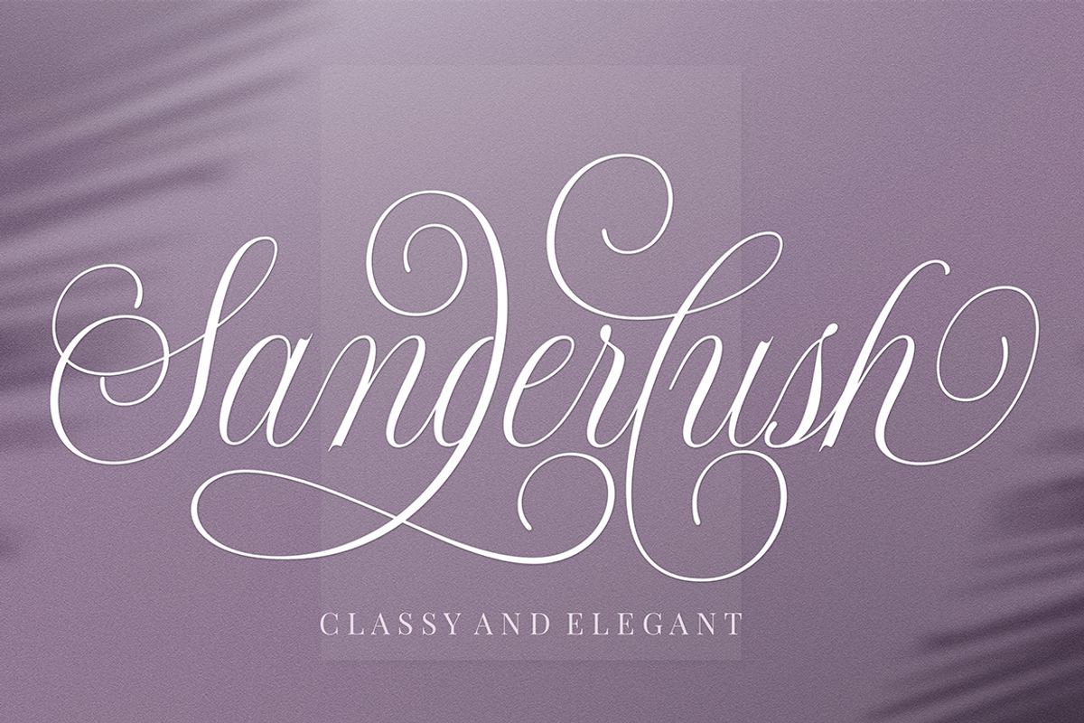 Shintosa Script, a Script Font by Picatype Studio (Photo 7 of 8)