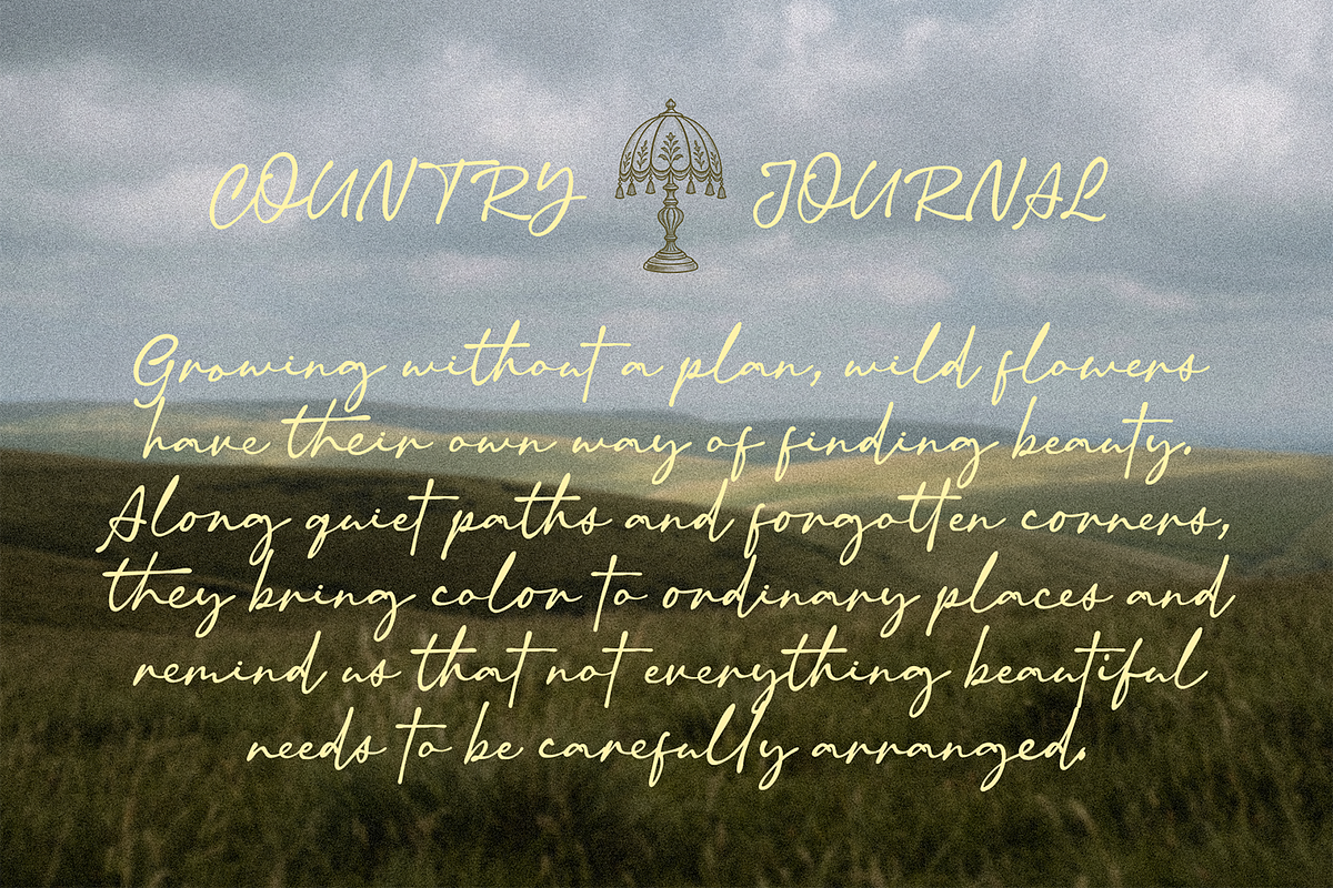 Northfield – Charming Handwritten, a Script Font by Portocraft (Photo 13 of 14)