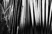 20 Plastic Foil PNG Overlays III, a Texture Graphic by Bilgep_design (Thumbnail 16 of 19)
