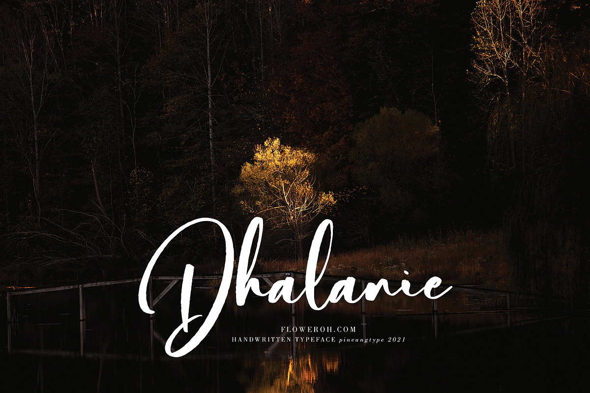 Bilattera, a Script Font by pineungtype (Photo 4 of 8)