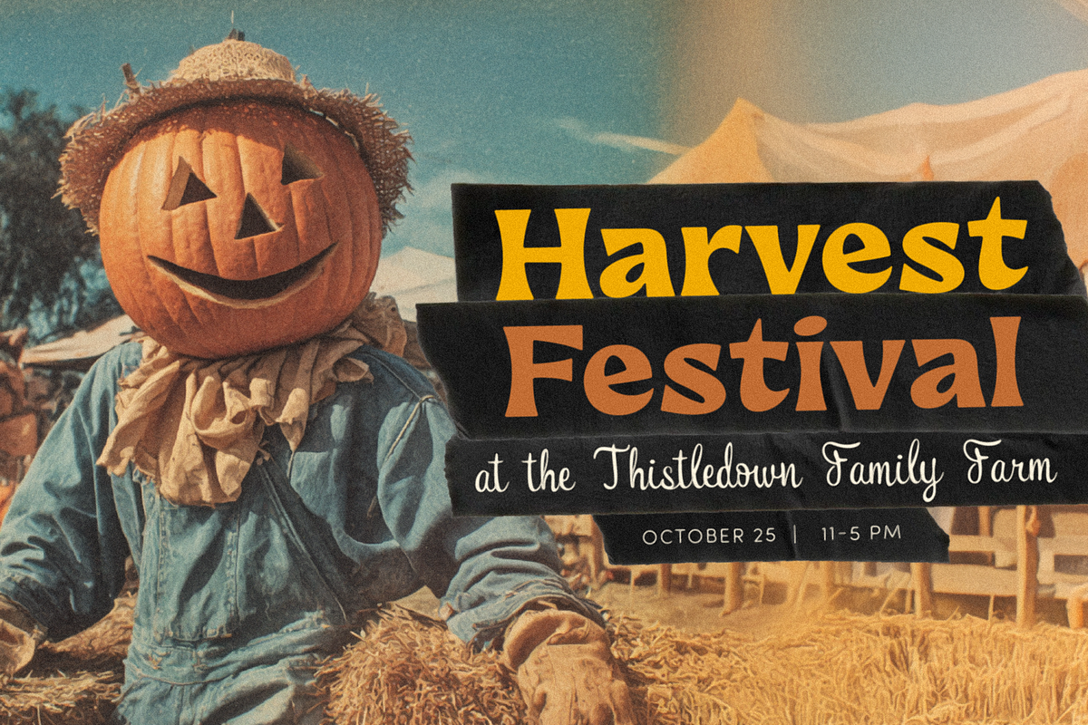 Jack's Lantern, a Sans Serif Font by Bruised Goods (Photo 11 of 14)