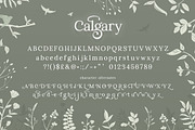 Calgary Serif Font Duo, a Serif Font by Salt & Pepper Designs (Thumbnail 4 of 6)
