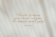 Signaturing - An Inky Handwritten, a Script Font by Nooh Space x Masa Fonts (Thumbnail 3 of 18)