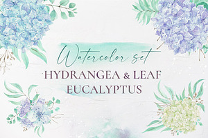 Watercolor hydrangea & eucalyptus