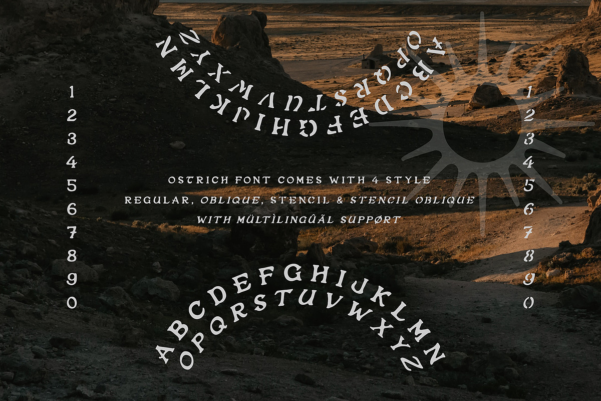 Montige Font, a Serif Font by Any-Type® Foundry (Photo 3 of 5)