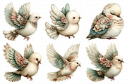 Creation Dove Clipart, an Illustration by Daily.Designs (Thumbnail 6 of 7)