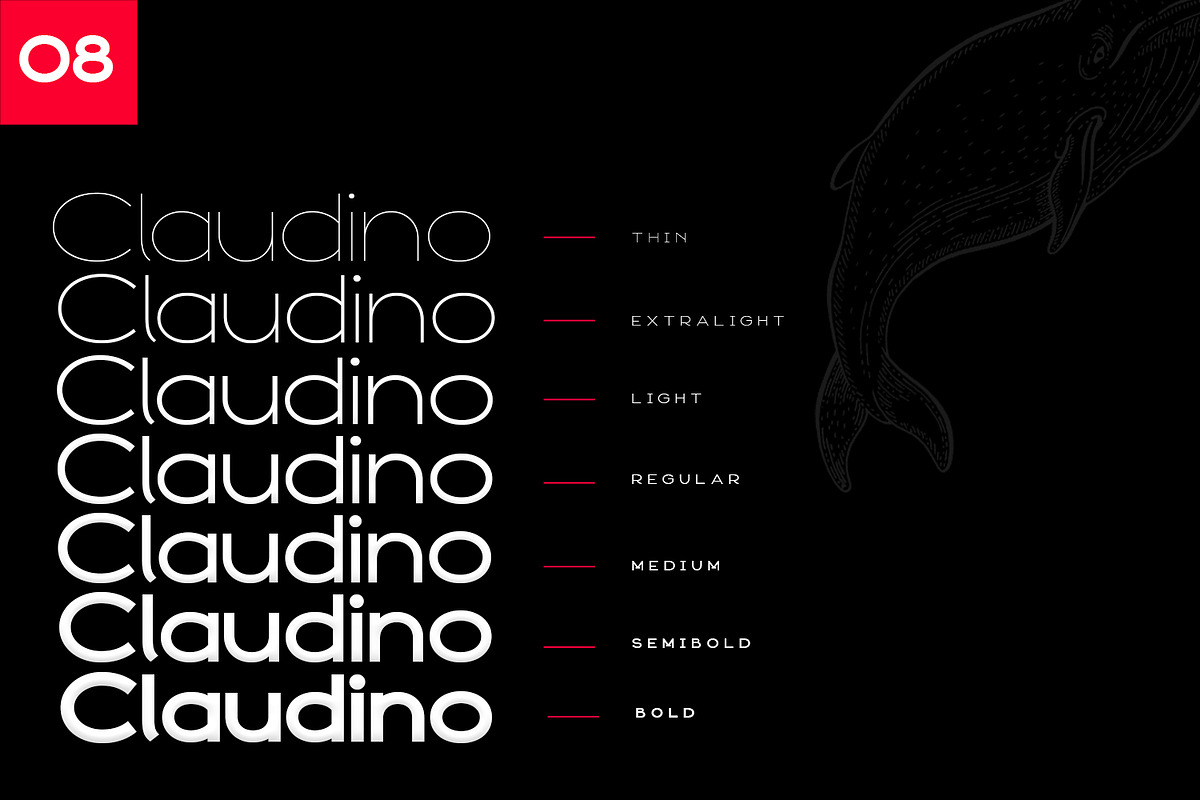 Claudino Display Font, a Sans Serif Font by Design Stag (Photo 9 of 9)