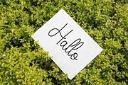Happy February, a Handwritten Font by InermediaSTUDIO (Thumbnail 8 of 8)