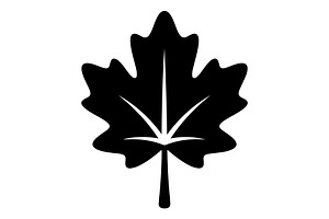 Maple Leaf Oak Leaf Autumn