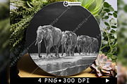 Elephants Group Walking Herd Beach, a Background Graphic by LaseredNinja (Thumbnail 6 of 7)