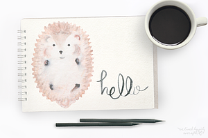 Watercolor Hedgehog Digital Graphics